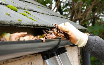 gutter cleaning Bagwyllydiart, Herefordshire