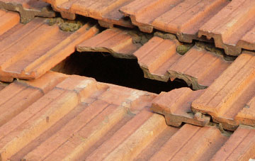 roof repair Bagwyllydiart, Herefordshire