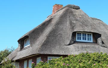 thatch roofing Bagwyllydiart, Herefordshire