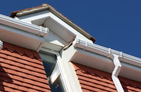 Bagwyllydiart fascias